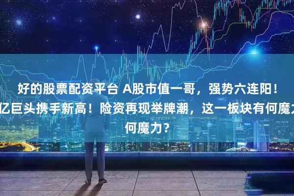好的股票配资平台 A股市值一哥，强势六连阳！万亿巨头携手新高！险资再现举牌潮，这一板块有何魔力？