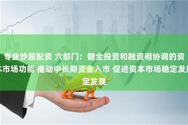 专业炒股配资 六部门：健全投资和融资相协调的资本市场功能 推动中长期资金入市 促进资本市场稳定发展